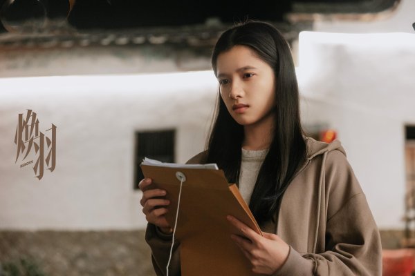 融可赢 解读《焕羽》15位女角色，乔青羽倔强又勇敢，乔贝羽善良又脆弱