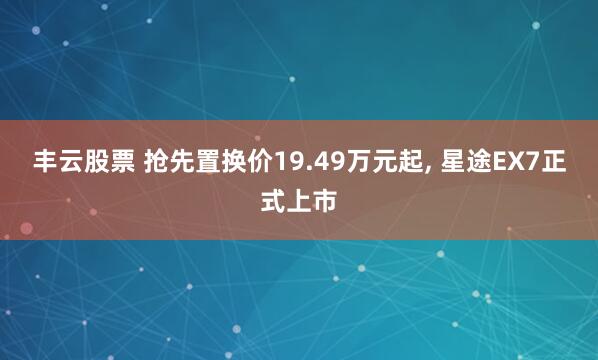 丰云股票 抢先置换价19.49万元起, 星途EX7正式上市